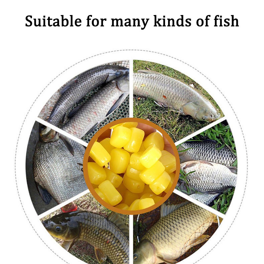 100pcs Silicone Corn Smell Sof - Fishing Lure Topwater 评论和价格